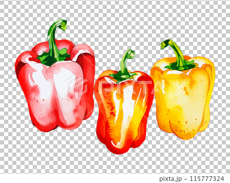 水彩で描いたパプリカのイラスト Generative AI 115777324