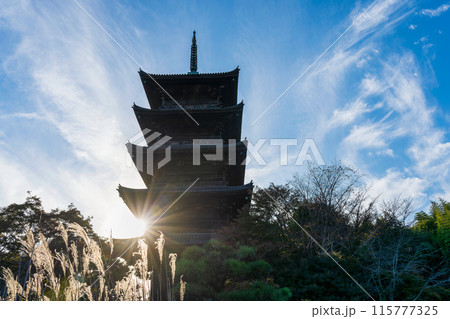 備中国分寺五重塔 備中国分寺五重塔 115777325