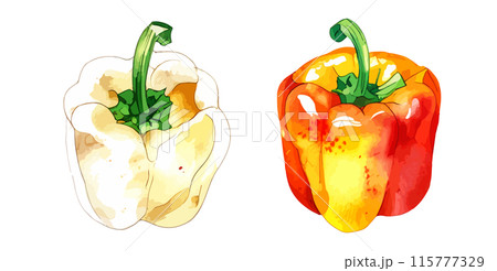 水彩で描いたパプリカのイラスト Generative AI 115777329