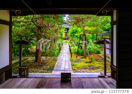 京都、嵯峨野清凉寺の境内 京都、嵯峨野清凉寺の境内 115777379