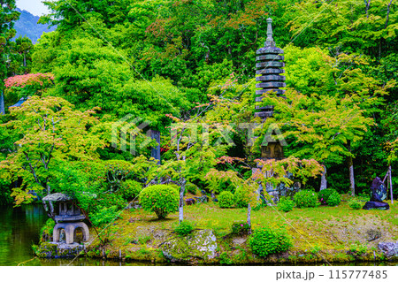 京都、嵯峨野清凉寺の庭園 京都、嵯峨野清凉寺の庭園 115777485