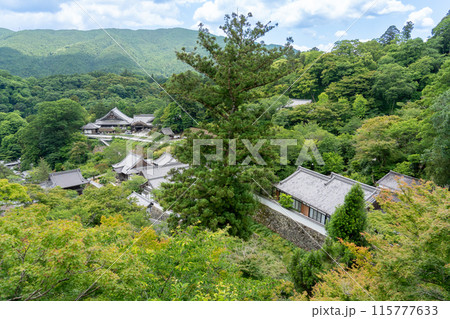 奈良県桜井市 新緑の長谷寺の舞台からの眺め 奈良県桜井市 新緑の長谷寺の舞台からの眺め 115777633