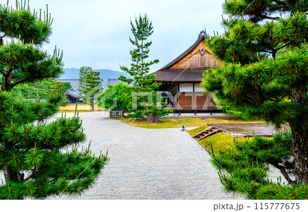 京都、大覚寺の白砂庭園 115777675