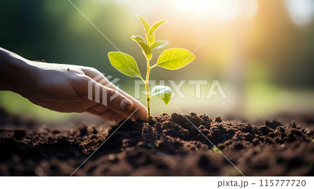 The beauty of nature and the importance of protecting it The beauty of nature and the importance of protecting it 115777720