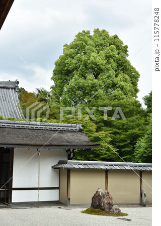 龍安寺 石庭 京都 龍安寺 石庭 京都 115778248