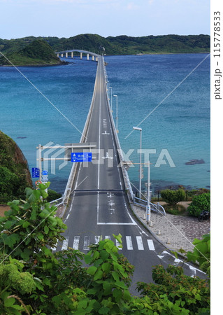 角島大橋1008 115778533