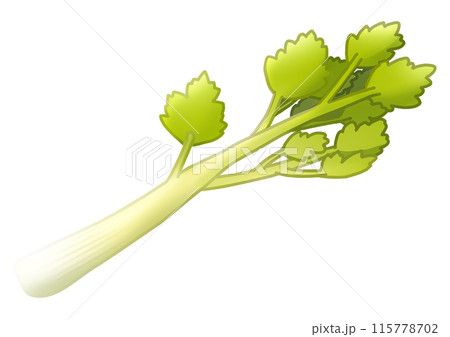 セロリのイラスト(主線なし) セロリのイラスト(主線なし) 115778702