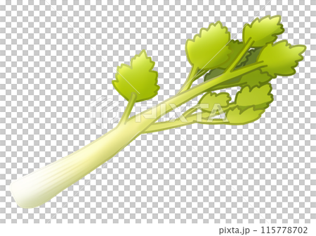 セロリのイラスト(主線なし) セロリのイラスト(主線なし) 115778702