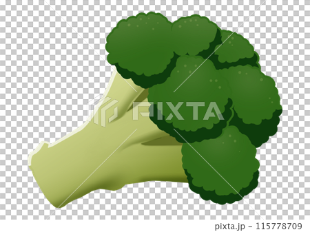 西蘭花插畫(無主線) 西蘭花插畫(無主線) 115778709