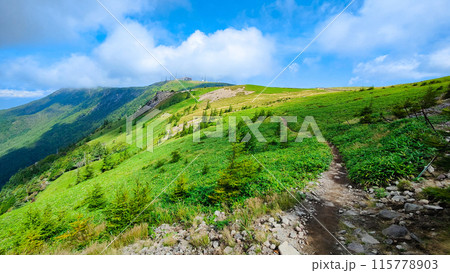 美ヶ原トレッキング:アルプス展望コース 美ヶ原トレッキング:アルプス展望コース 115778903