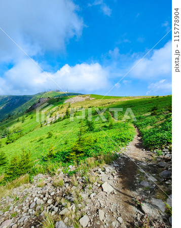 美ヶ原トレッキング：アルプス展望コース 115778904