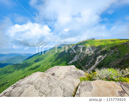 美ヶ原トレッキング:アルプス展望コース 美ヶ原トレッキング:アルプス展望コース 115778920