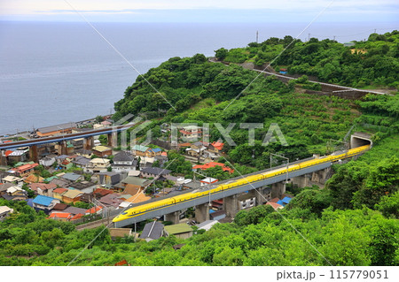 相模湾と東海道新幹線　ドクターイエロー 115779051
