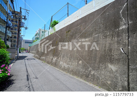 大坂城「真田丸」真田信繫 (真田幸村)築城 の現在の様子 115779733