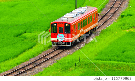 山岡町の田んぼを走る 赤い列車 山岡町の田んぼを走る 赤い列車 115779962