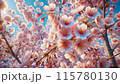 桜 115780130