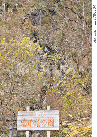【恋小袖の瀧】 和歌山県田辺市龍神村龍神 115780504