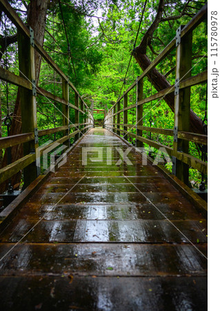 【赤沢】雨に濡れる姫宮橋【木曽郡上松町】 115780978
