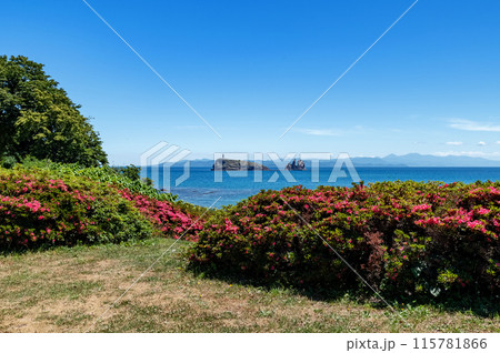 【青森県下北半島脇野沢鯛島】下北ジオパーク内にある鯛に似た無人島は鯛島と呼ばれている 【青森県下北半島脇野沢鯛島】下北ジオパーク内にある鯛に似た無人島は鯛島と呼ばれている 115781866