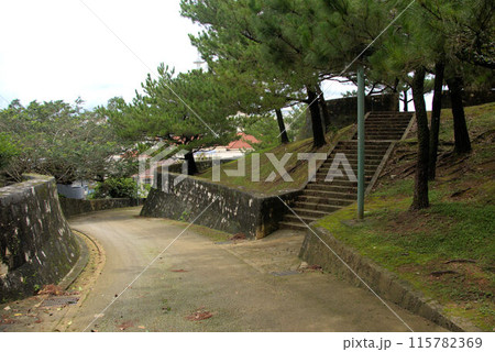 梅雨明け前の首里城公園 115782369