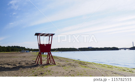 神奈川県横浜市海の公園の初夏(人工渚) 神奈川県横浜市海の公園の初夏(人工渚) 115782555