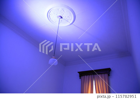 威風堂々たる明治期の西洋風館「旧函館区公会堂」・内観 威風堂々たる明治期の西洋風館「旧函館区公会堂」・内観 115782951