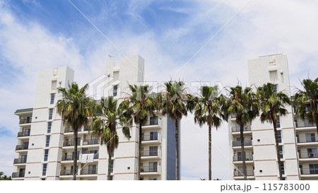 青空に映える白いビル（リゾートマンション） 115783000