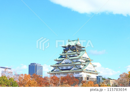 大阪府大阪市、大阪城の風景 大阪府大阪市、大阪城の風景 115783034