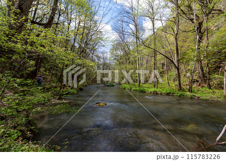 奥入瀬渓流(青森県十和田市) 奥入瀬渓流(青森県十和田市) 115783226