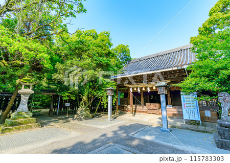 初夏の日吉神社　福岡県柳川市 115783303