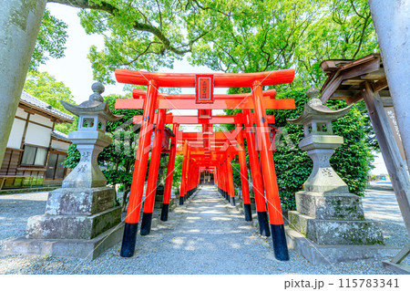 初夏の太郎稲荷大明神　三柱神社　福岡県柳川市 115783341