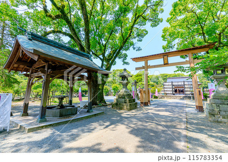 初夏の三柱神社　福岡県柳川市 115783354