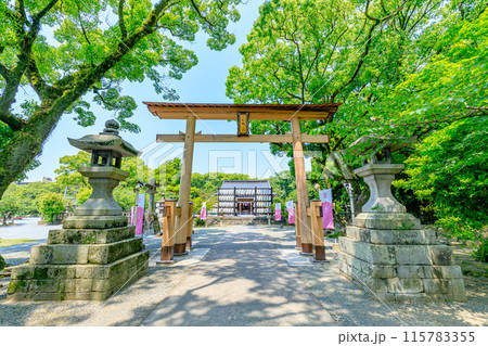 初夏の三柱神社　福岡県柳川市 115783355