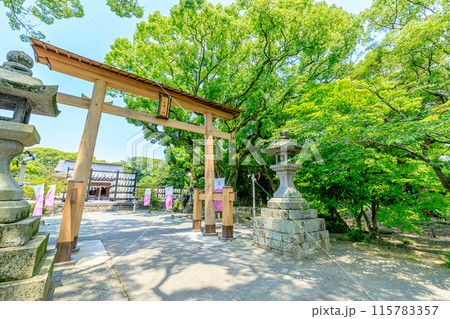 初夏の三柱神社 福岡県柳川市 初夏の三柱神社 福岡県柳川市 115783357