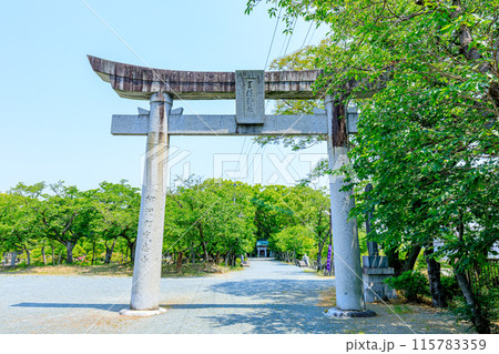 初夏の三柱神社　福岡県柳川市 115783359