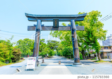 初夏の三柱神社　福岡県柳川市 115783360