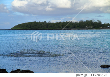 インド洋の貴婦人とも称される島国モーリシャス　南東岸に位置するブルーベイの海で群れて跳ねる魚 115783576