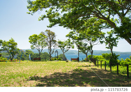 レモンの丘公園　【和歌山県和歌山市】 115783726