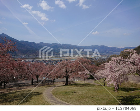 桜と山々の風景_青空_写真-1 115784069