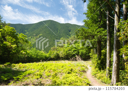 天水田(熊野古道・果無峠越え)　【奈良県十津川村】 115784203