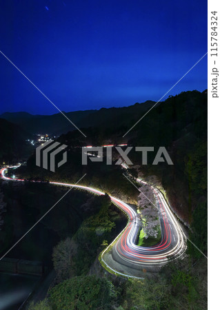 君ケ野ダムの桜の季節 115784324