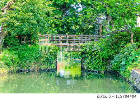 初夏の柳川城 弥兵衛門跡 福岡県柳川市 初夏の柳川城 弥兵衛門跡 福岡県柳川市 115784404