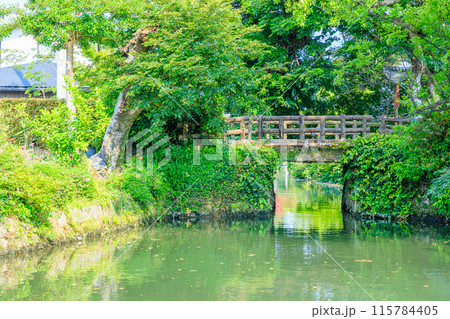 初夏の柳川城 弥兵衛門跡　福岡県柳川市 115784405