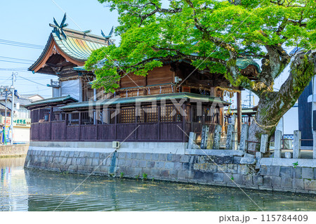 初夏の沖端水天宮　福岡県柳川市 115784409