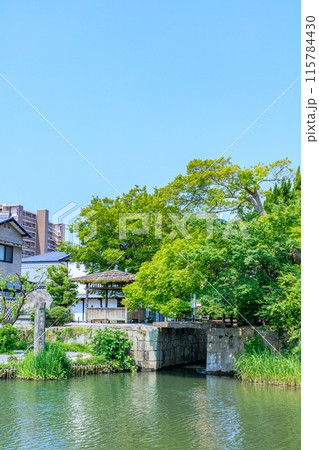 初夏の柳川城堀水門 福岡県柳川市 初夏の柳川城堀水門 福岡県柳川市 115784430