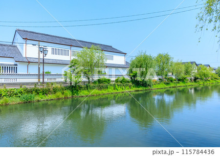 初夏の柳川の風景　柳川掘割　福岡県柳川市 115784436