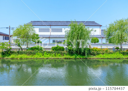 初夏の柳川の風景 柳川掘割 福岡県柳川市 初夏の柳川の風景 柳川掘割 福岡県柳川市 115784437
