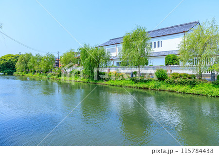 初夏の柳川の風景 柳川掘割 福岡県柳川市 初夏の柳川の風景 柳川掘割 福岡県柳川市 115784438