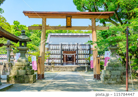 初夏の三柱神社 福岡県柳川市 初夏の三柱神社 福岡県柳川市 115784447