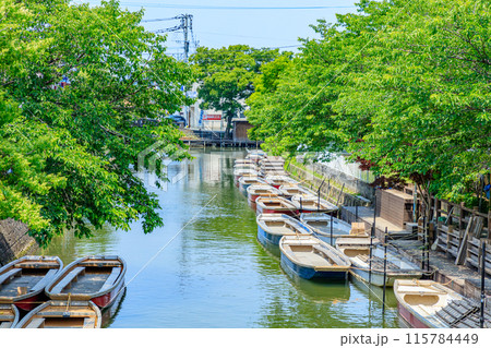 初夏の柳川の風景 松月乗船場 福岡県柳川市 初夏の柳川の風景 松月乗船場 福岡県柳川市 115784449